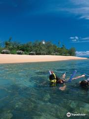 Sailaway Reef & Island Tours