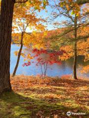 Lake Taghkanic State Park