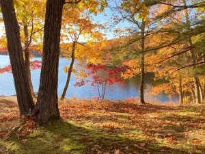 Lake Taghkanic State Park