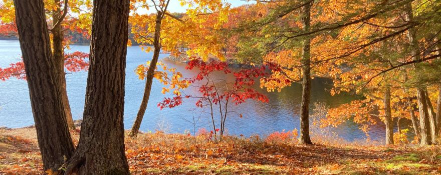 Lake Taghkanic State Park