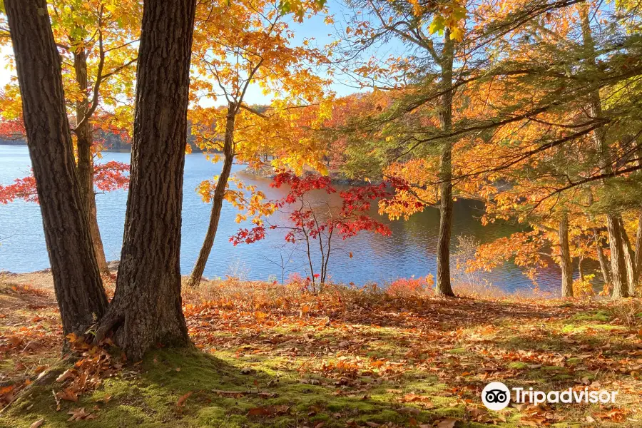 Lake Taghkanic State Park