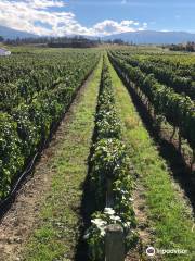 The View Winery & Vineyard