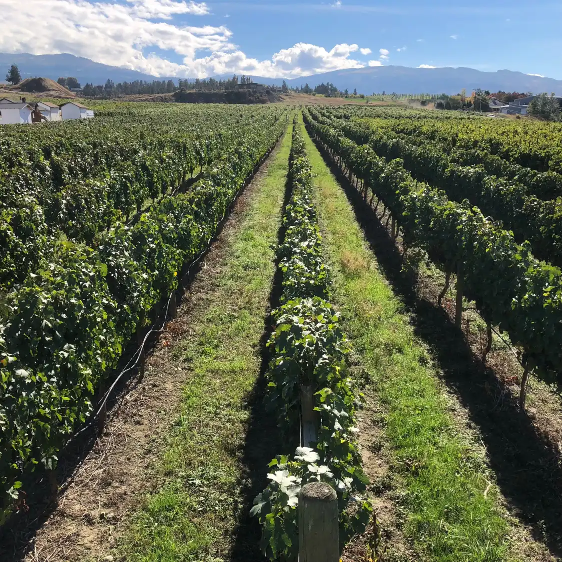 Hotels near The View Winery & Vineyard
