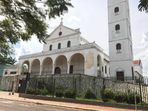 Cathedral of Our Lady of Nazareth