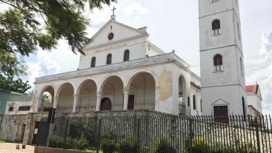 Diocese Rio Branco