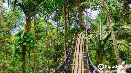 Parc des Mamelles, le Zoo de Guadeloupe