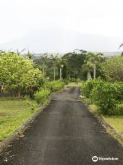 Tokunoshima Fruits Garden