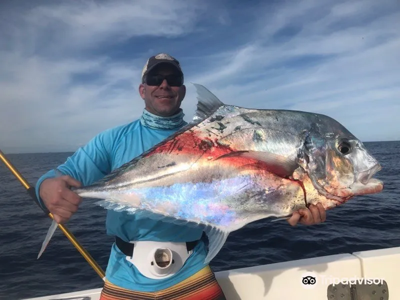 Sweet E'Nuf Charters