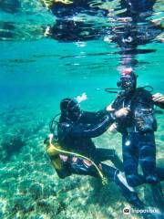 Split Diving Experience