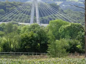 Chartist Bridge