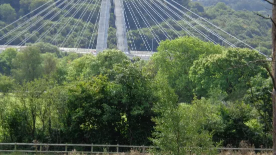 Chartist Bridge