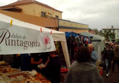 Fiesta del Almendro en Flor