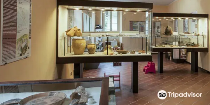 Museo Civico Archeologico