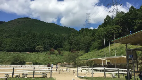 Horse Riding Club Crane Osaka