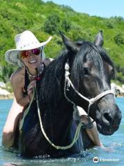 Arena Horse Riding Corfu