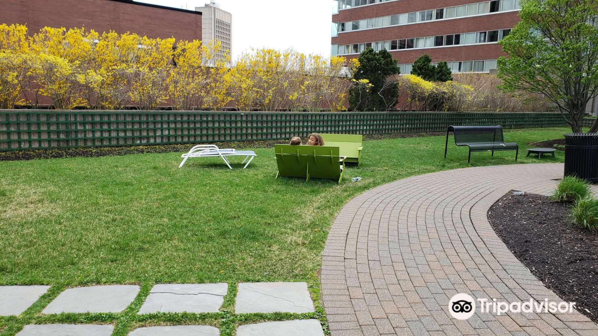 Rooftop Garden Cambridge Fasci Garden