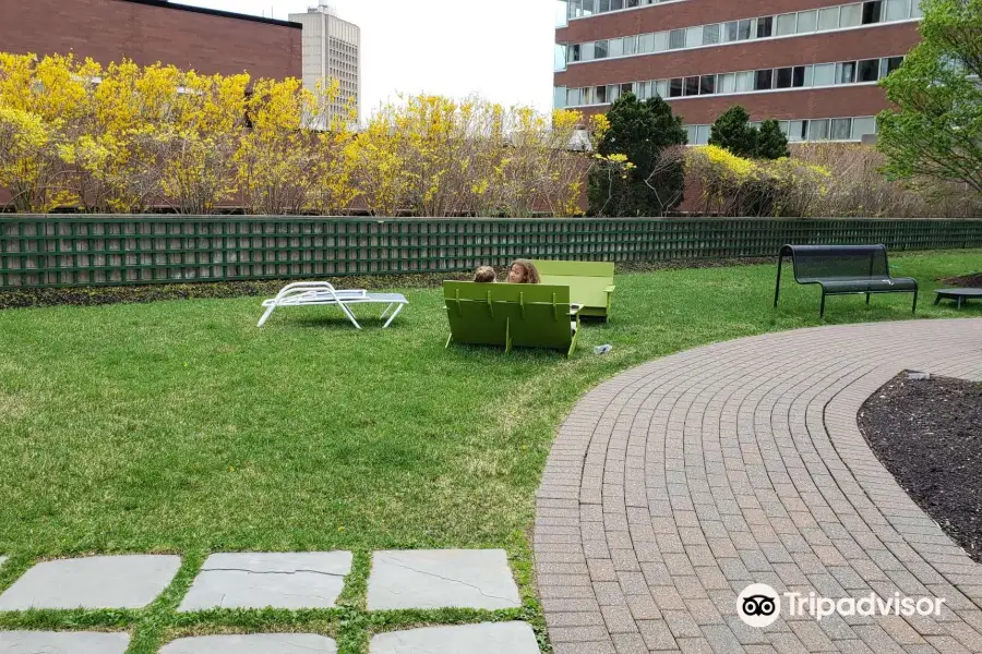 Cambridge Center Roof Garden