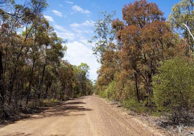 Barakula State Forest