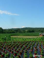 Liberty Ridge Farm