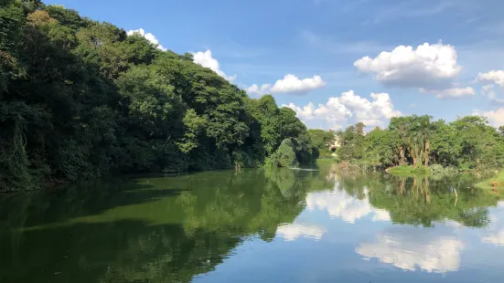 Parque Zoologico Municipal Quinzinho De Barros