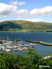 Carlingford Marina