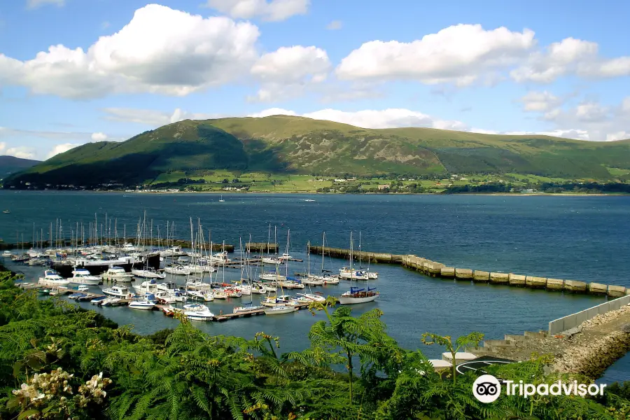 Carlingford Marina