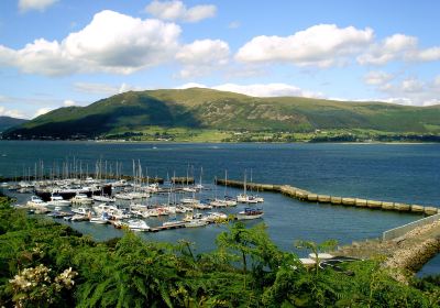 Carlingford Marina