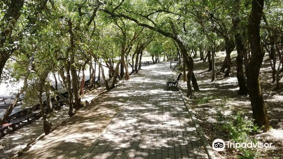 Parque Municipal Cabeco de Montachique