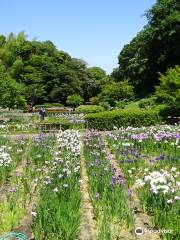 Kameyama Park