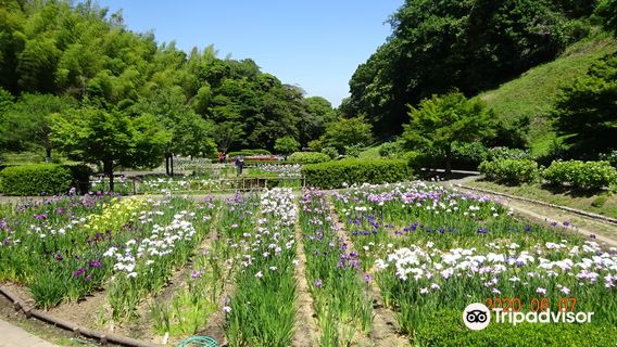 Kameyama Park