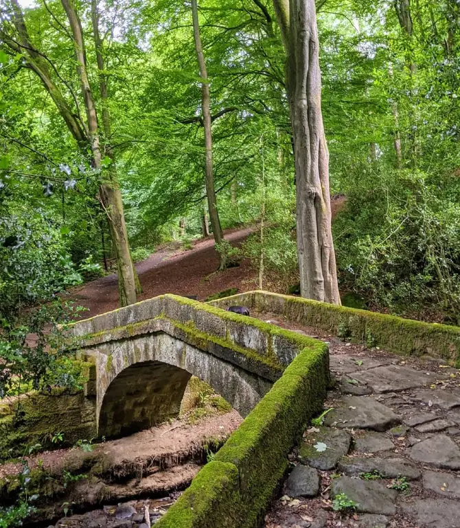 Wharncliffe Side
