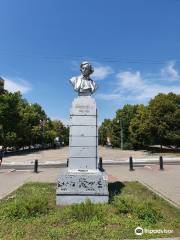 Bust of Chernyshevskiy