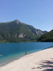 Spiaggia Per Cani