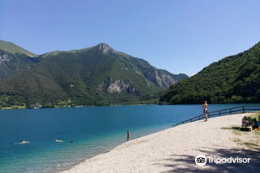 Spiaggia Per Cani