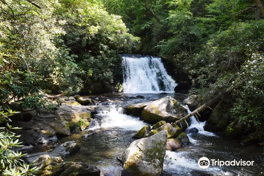 Yellow Creek Falls