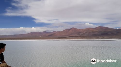 Salar de Pocitos