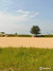 Munambam Beach