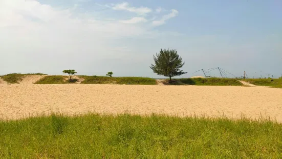 Munambam Beach