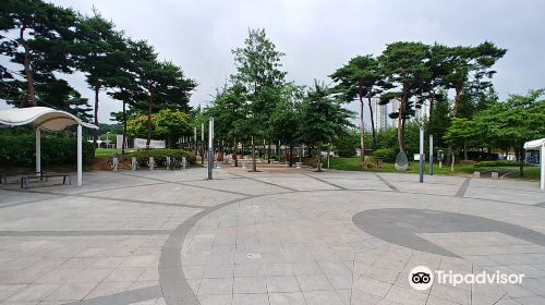 Dongtan Central Park