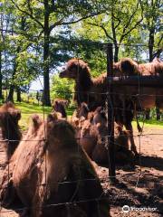 Bouillon Wildlife Park