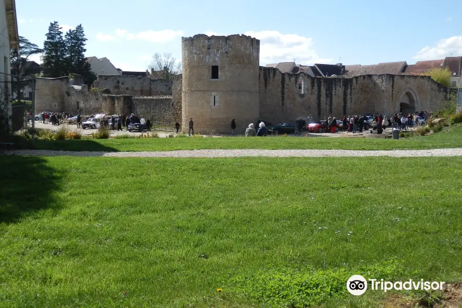 Castillo de Brie-Comte-Robert