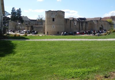 Chateau de Brie-Comte-Robert