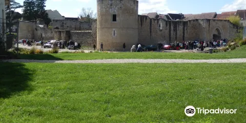 Chateau de Brie-Comte-Robert