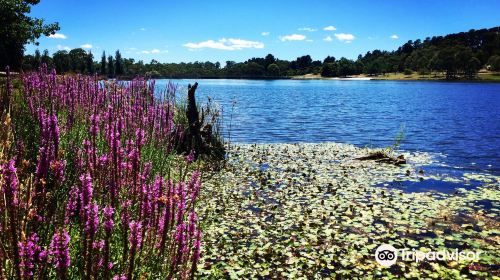 Lake Canobolas