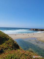 Pudding Creek Beach