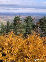 Ascutney State Park