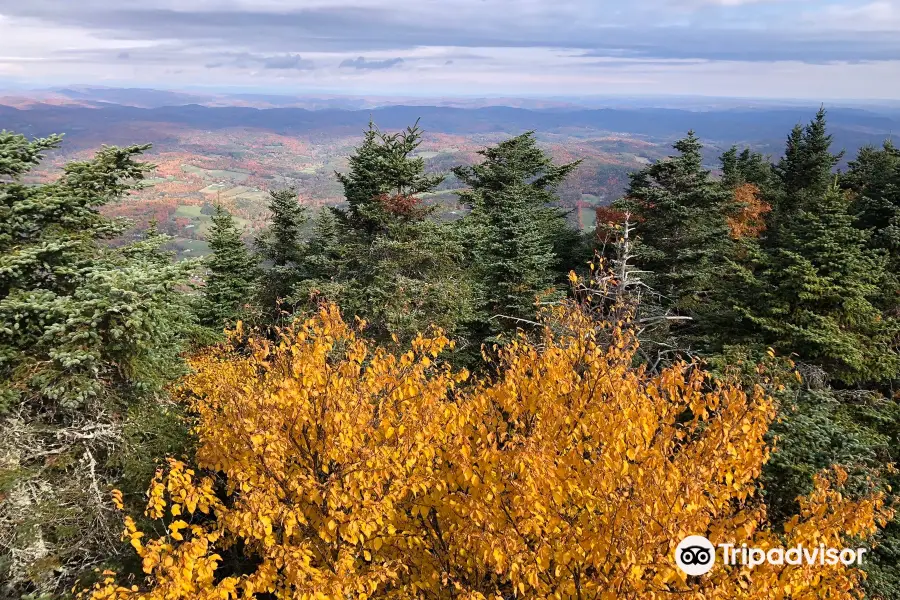 Ascutney State Park