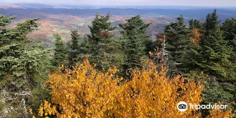 Ascutney State Park