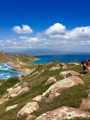 Penisola del Sinis - Isola di Mal di Ventre