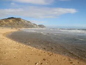 Charmouth Beach